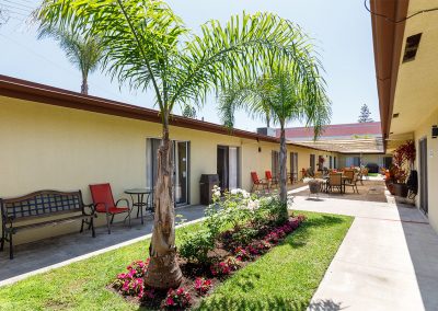 Mission Palms Courtyard